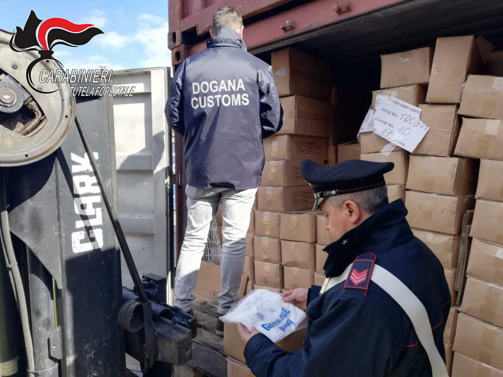 CARABINIERI FORESTALI SEQUESTRANO OLTRE 14 TONNELLATE DI SACCHETTI DI PLASTICA IRREGOLARI