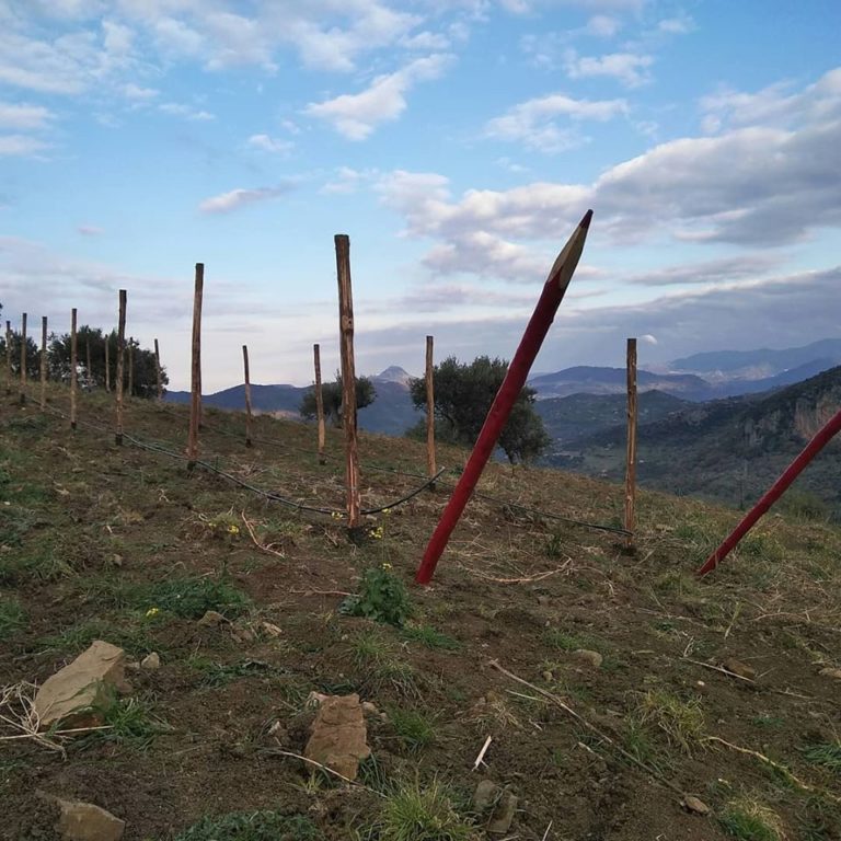 LA SOCIETÀ AGRICOLA DI ISNELLO  OSPITERÀ SABATO 31 LUGLIO IL CONCERTO ACUSTICO DEL CANTAUTORE CLAUDIO CIRILLO