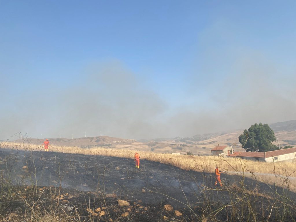 Incendi,al via dalla Regione i primi ristori agli allevatori danneggiati