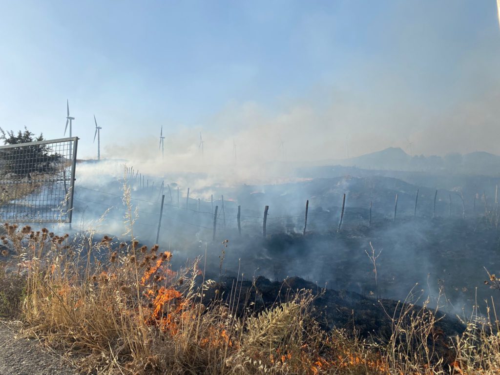 IL PARCO DELLE MADONIE A SOSTEGNO DELLE AZIENDE COLPITE DAGLI INCENDI