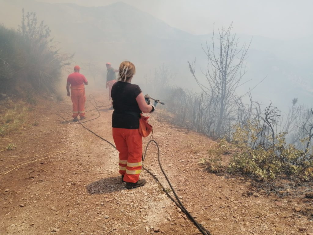 Incendi in Sicilia. Politica regionale sotto accusa . “Non si può effettuare la prevenzione a Luglio”