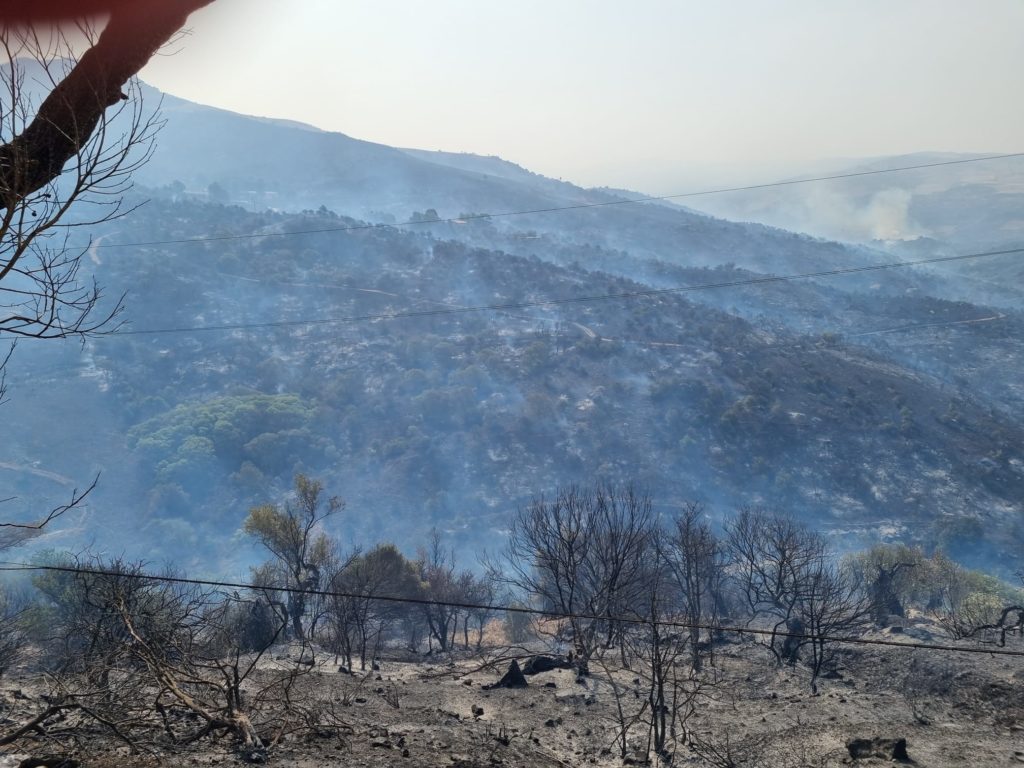Ancora un incendio a San Mauro Castelverde:andati in fumo oltre 6 mila ettari di terreni