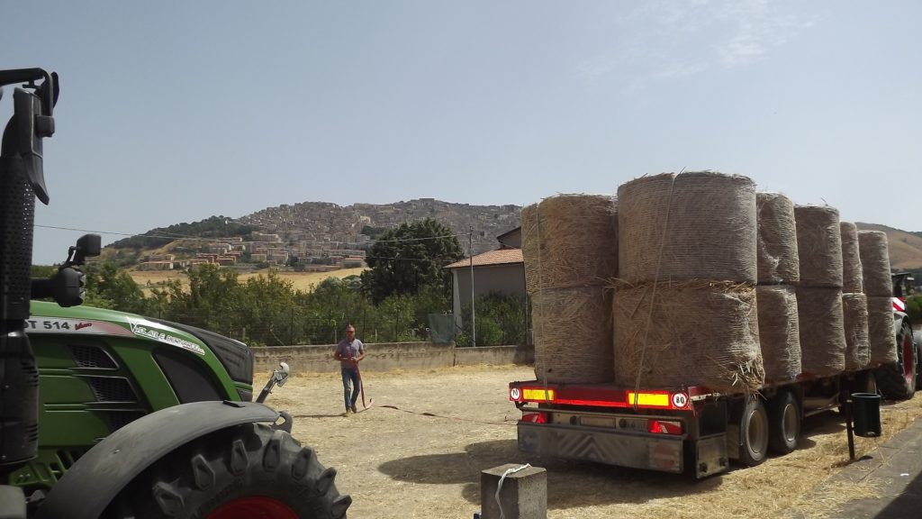 Incendi, governo Musumeci stanzia i primi fondi per il fieno alle aziende zootecniche