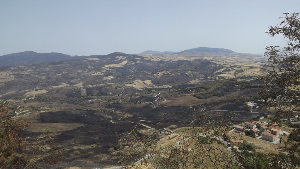 Danni subiti dagli incendi, le domande dei primi ristori entro il 20 agosto