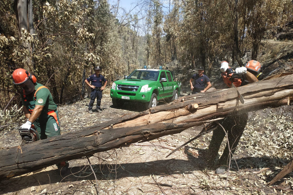 Incendi, arrivati in Sicilia 25 Carabinieri Forestali da tutta Italia