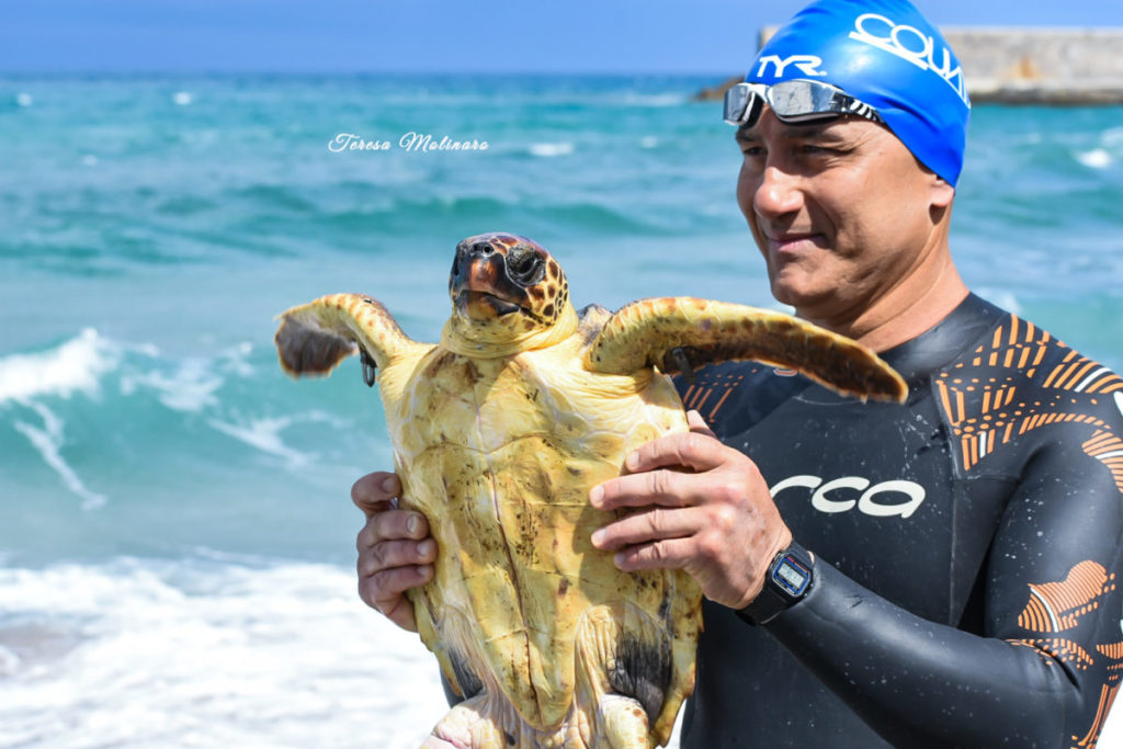 Cefalu’,liberate alcune tartarughe ‘Caretta Caretta’