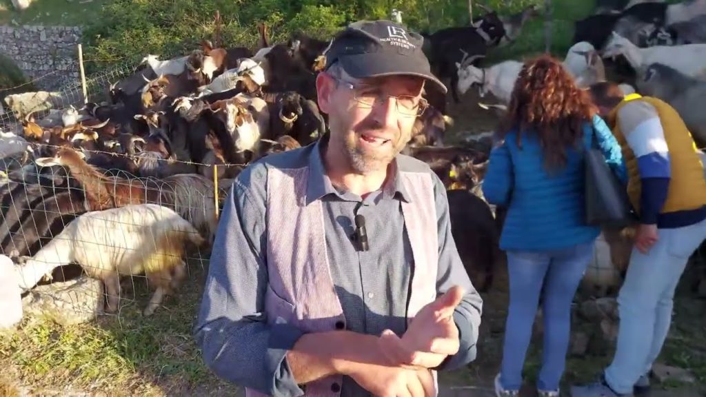 Geraci Siculo,turisti da tutta la Sicilia per la transumanza