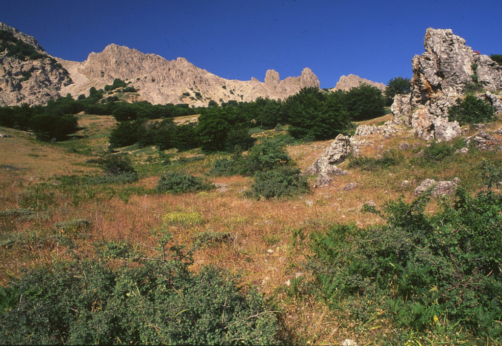 Nel Parco delle Madonie la  SETTIMANA EUROPEA GEOPARK
