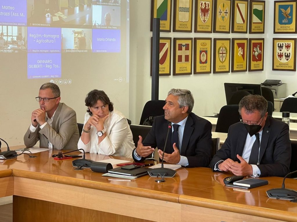 Emergenza cinghiali, Scilla: «Non c’è più tempo, Roma intervenga subito»