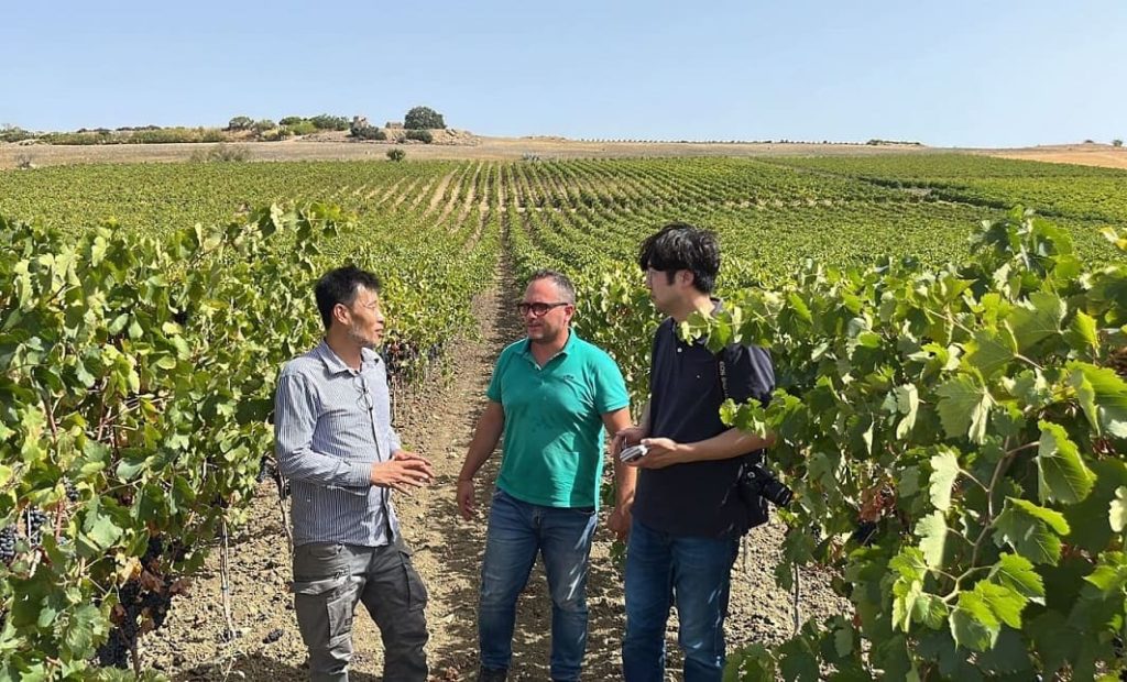 La Sicilia nel mondo: i media coreani raccontano il climate-change tra i vigneti dell’Isola