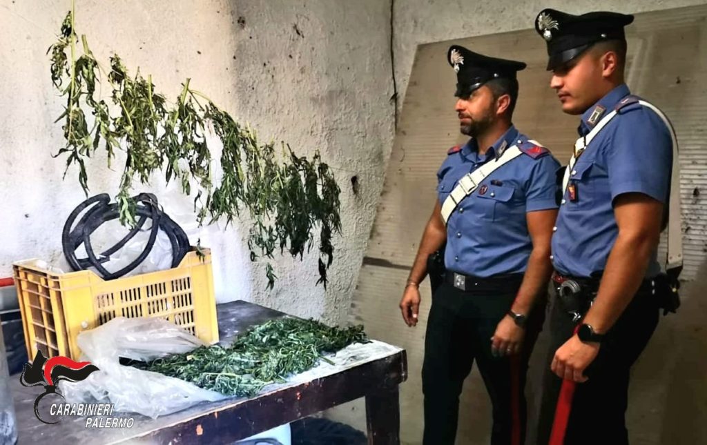 Droga nella stalla, arrestati due pastori