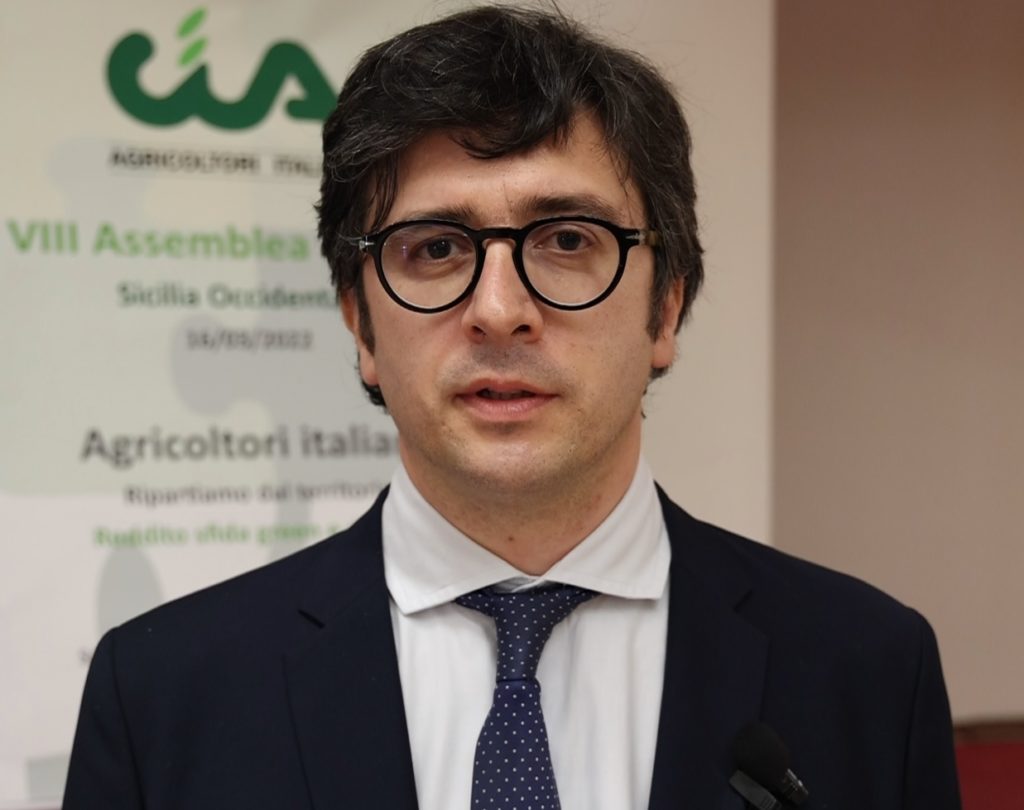 Anche l’olivicoltura duramente colpita dalla crisi dei prezzi