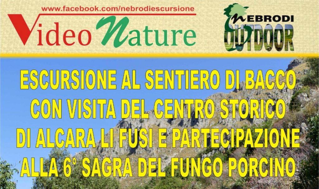 “Sagra del Fungo Porcino dei Nebrodi”