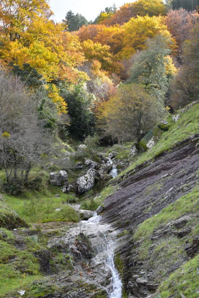 Ode all’autunno nel Parco delle Madonie