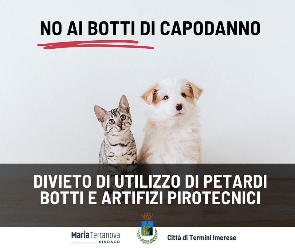 Botti di Capodanno, le raccomandazioni del Comune: «Rispettare persone e  animali»