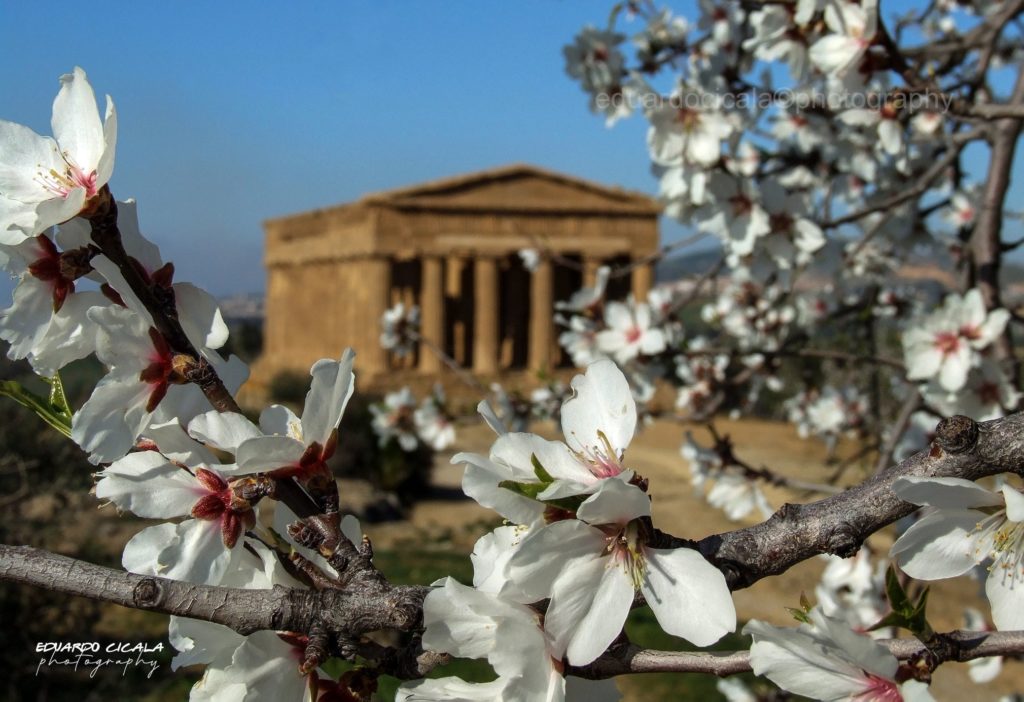 Mic: 10 finaliste di “Capitale italiana della cultura” 2025,c’è anche Agrigento