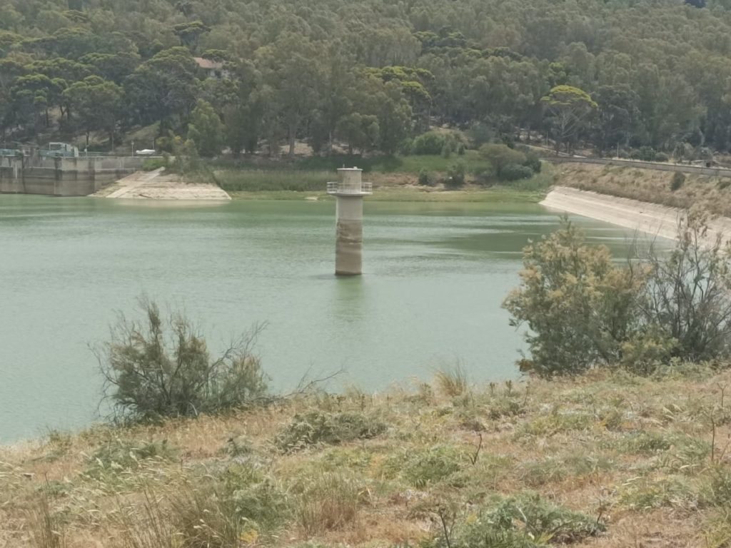 <strong>Diga Trinità, acqua buttata e agricoltori trapanesi a secco, Pugliesi (Cia): Chiediamo al Prefetto di intervenire</strong>