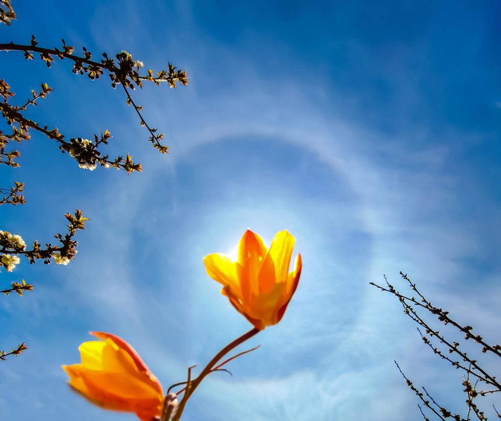 Arriva la Primavera, astronomica e poetica stagione