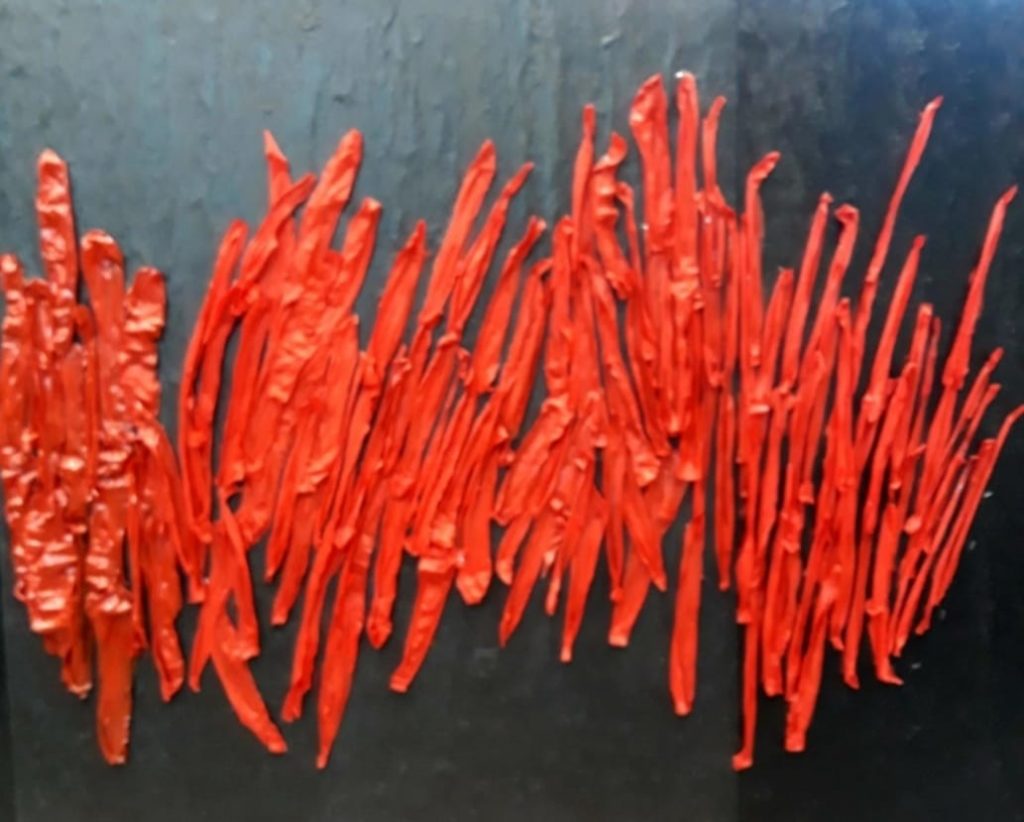 Santa Caterina. Earth Day – Rosalba Gallà “legge”: Un mare di plastica di Gaetano Barbarotto