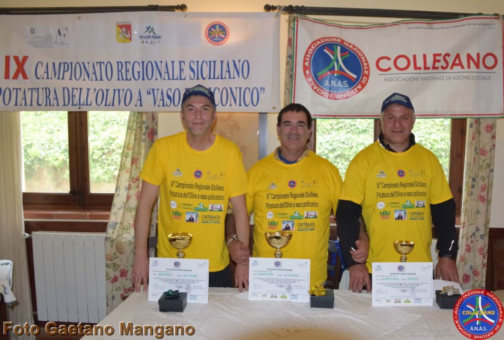 CAMPIONATO REGIONALE SICILIANO DI POTATURA DELL’OLIVO A VASO POLICONICO
