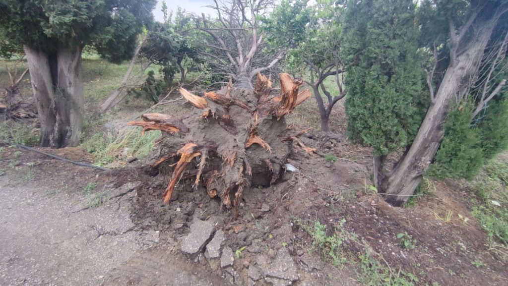 Danni da maltempo, Cia Sicilia Orientale chiede lo stato di calamità