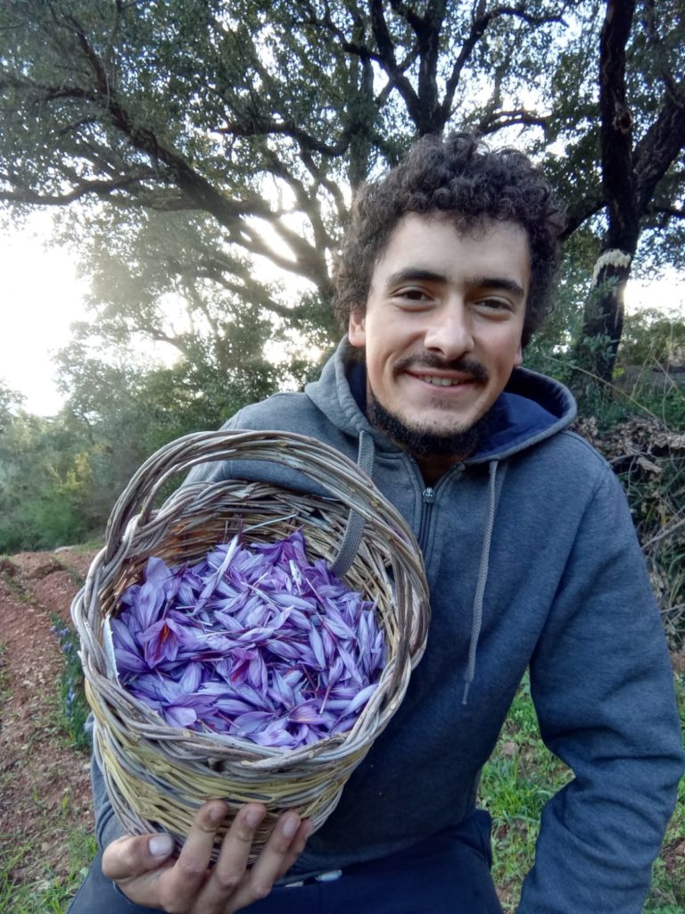 Costituente Castelbuono: Proposta di lavoro per i giovani