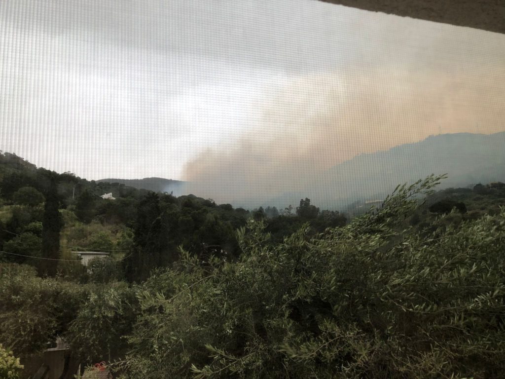Vasto incendio a Cefalù. Lapunzina: E’ finita bene