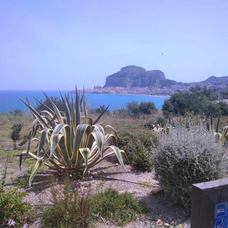 Cefalù,Donna, violenza, colonizzazione, razzismo e ambientefra i temi dei film americani del Festival del Cinema