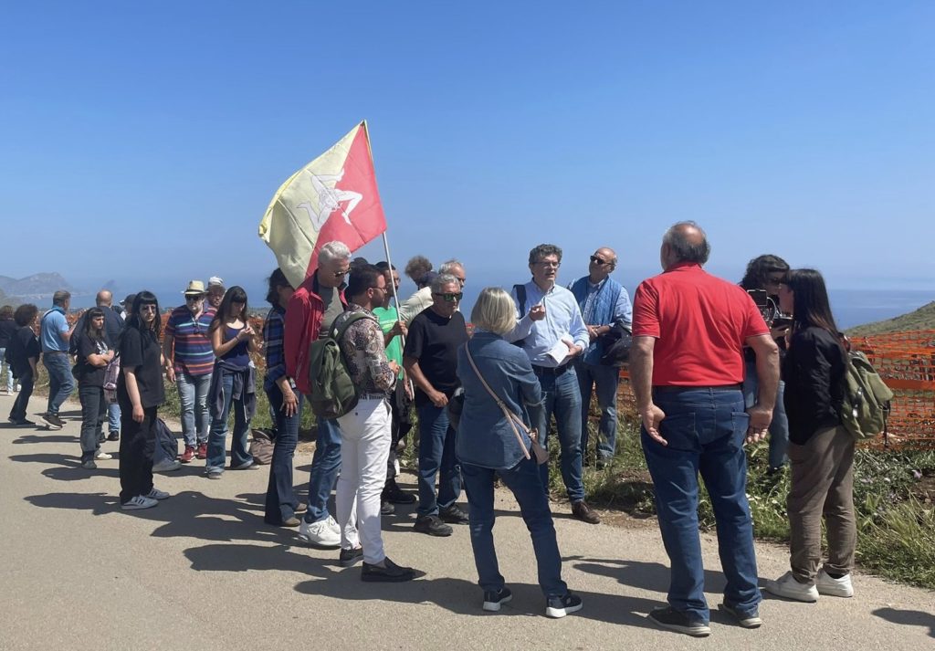 1600 ulivi abbattuti per il Thyrrenian link: scatta la mobilitazione dei cittadini