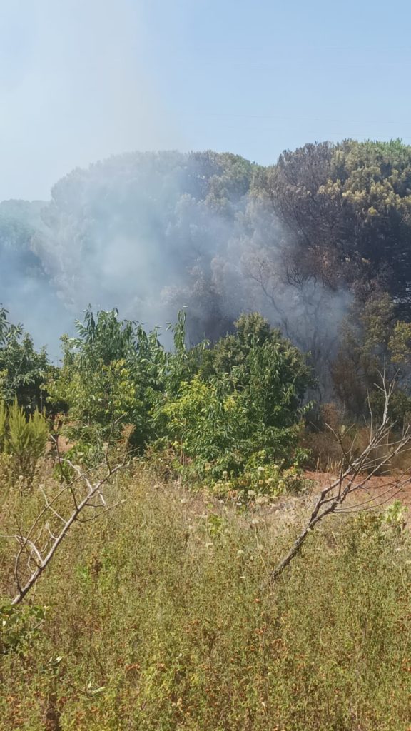 Cefalù. 9 punti per il Consiglio Comunale