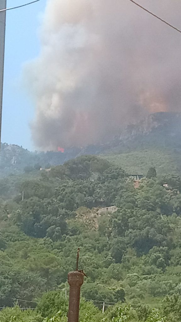 Incendi a Cefalù. Lapunzina: richiesto immediato intervento