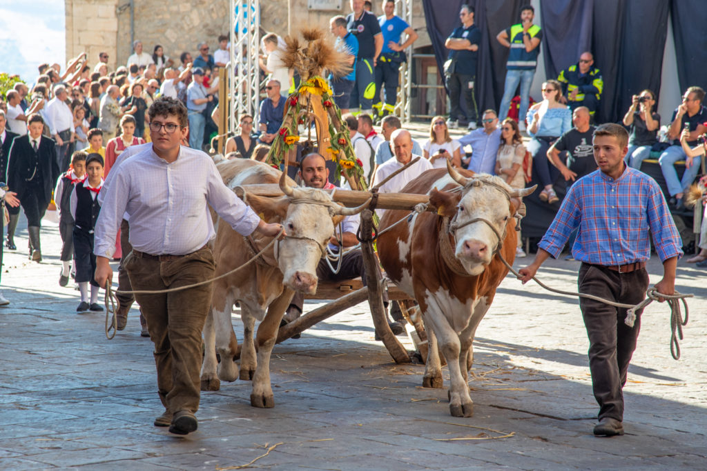 In migliaia a Gangi per la Sagra della Spiga