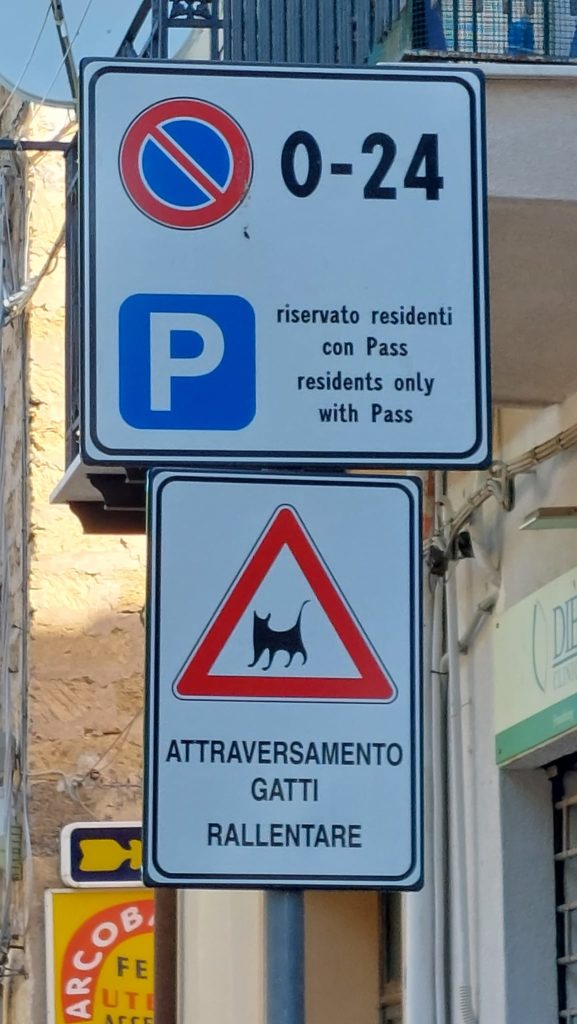 Randagismo, a Cefalù uno sportello a tutela degli animali