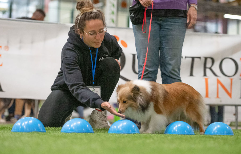 Quattrozampeinfiera, tra attivazione mentale e pull out