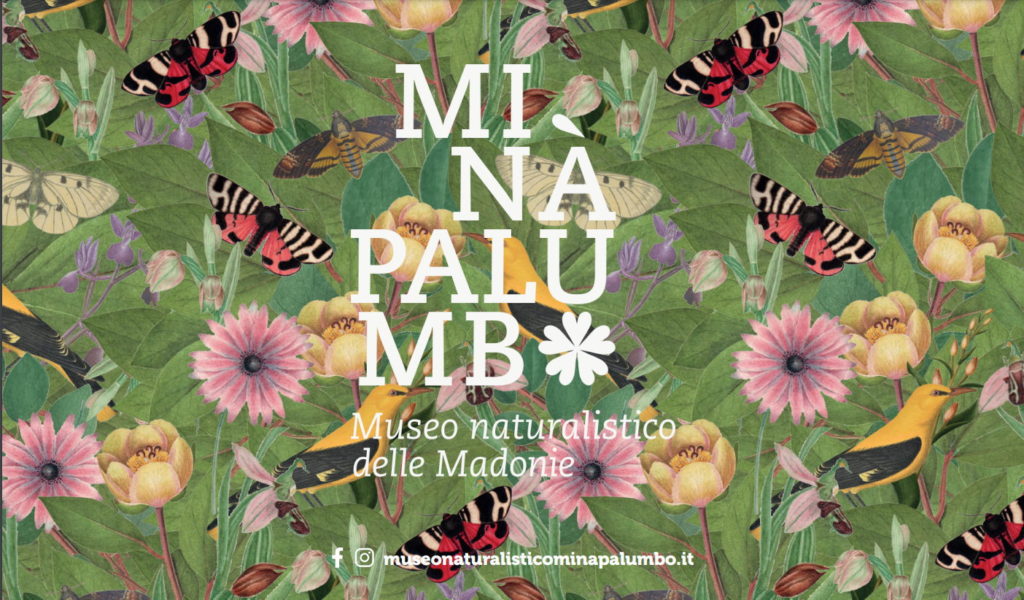 Minà Palumbo. Per un Museo della comunità
