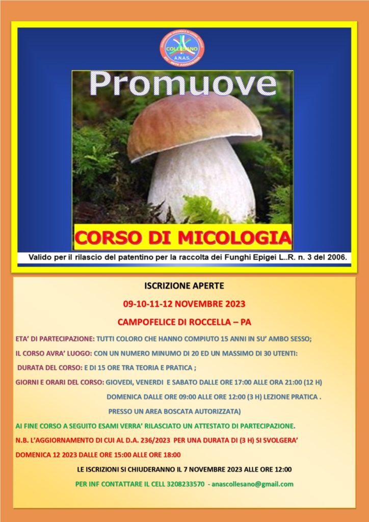 Corso di micologia a Campofelice di Roccella