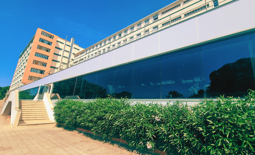 Test per accesso a medicina, all’Ersu Palermo un corso di preparazione