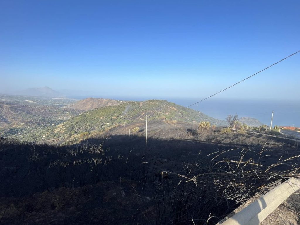 Ultimi incendi. Sindaco Cefalù: strategia criminale