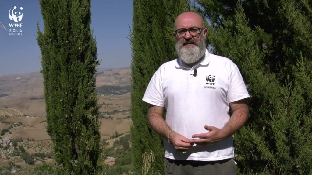 Incendi in Sicilia il 15 ottobre e’ terminato il periodo di ‘massimo rischio’, Bonfanti (wwf): le ordinanze dei sindaci? un bluff!