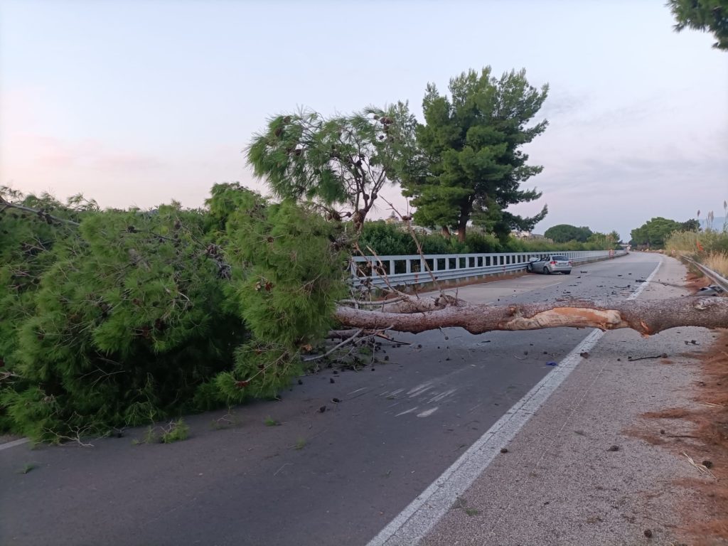 Morì sull’A20 Messina-Palermo per un albero piombato sull’auto, i familiari denunciano il Cas