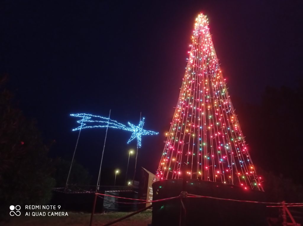 Ritorna una vecchia tradizione degli scout di Cefalù: l’albero di Natale