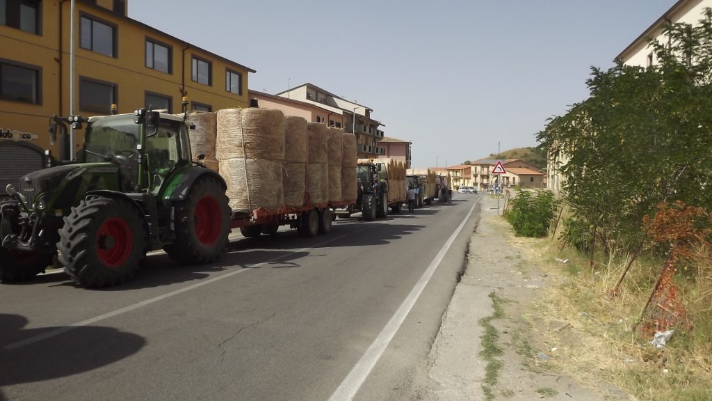 Proteste agricoltori: Confedercontribuenti, manifestazioni evidenziano un disagio generale ma il governo è assente