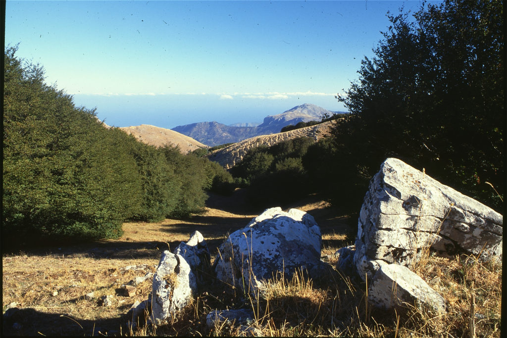 PARCO DELLE MADONIE,APPROVATO FINANZIAMENTO A TUTELA DI PIANTE RARE