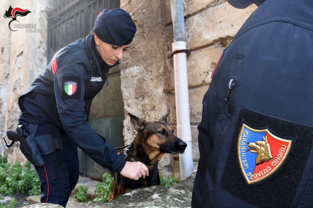 Vasta operazione antidroga,25 chili di droga sequestrati e 6 arresti