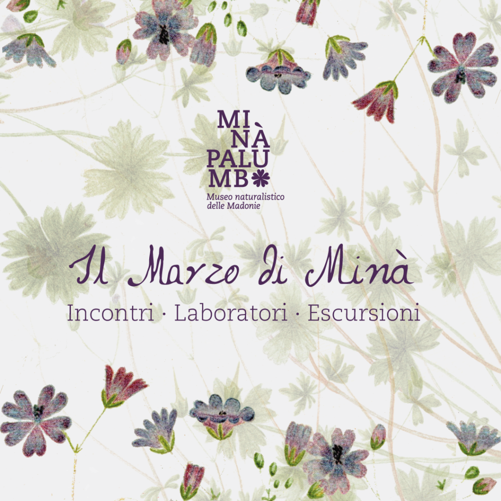 210° anno dalla nascita di Minà Palumbo. Incontri · Laboratori · Escursioni a Castelbuono