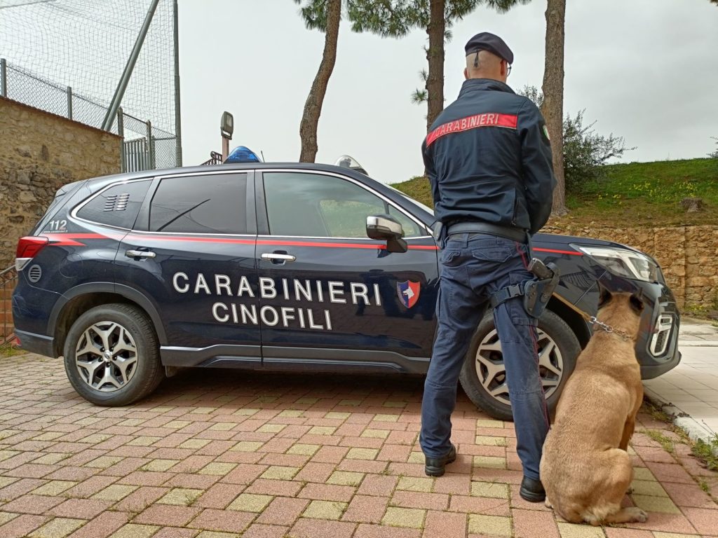 Armi, soldi e documenti falsi,in manette un palermitano
