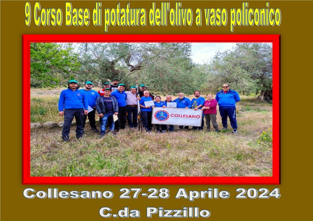 Collesano,buona partecipazione per il corso base di potatura a “Vaso Policonico”