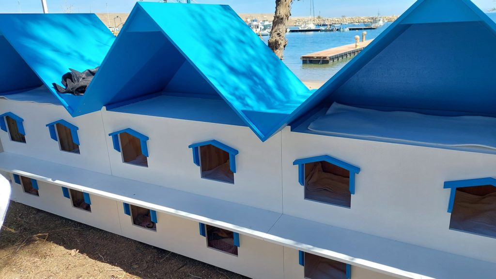 Colonie feline: nuove casette e cartelli informativi a Cefalù