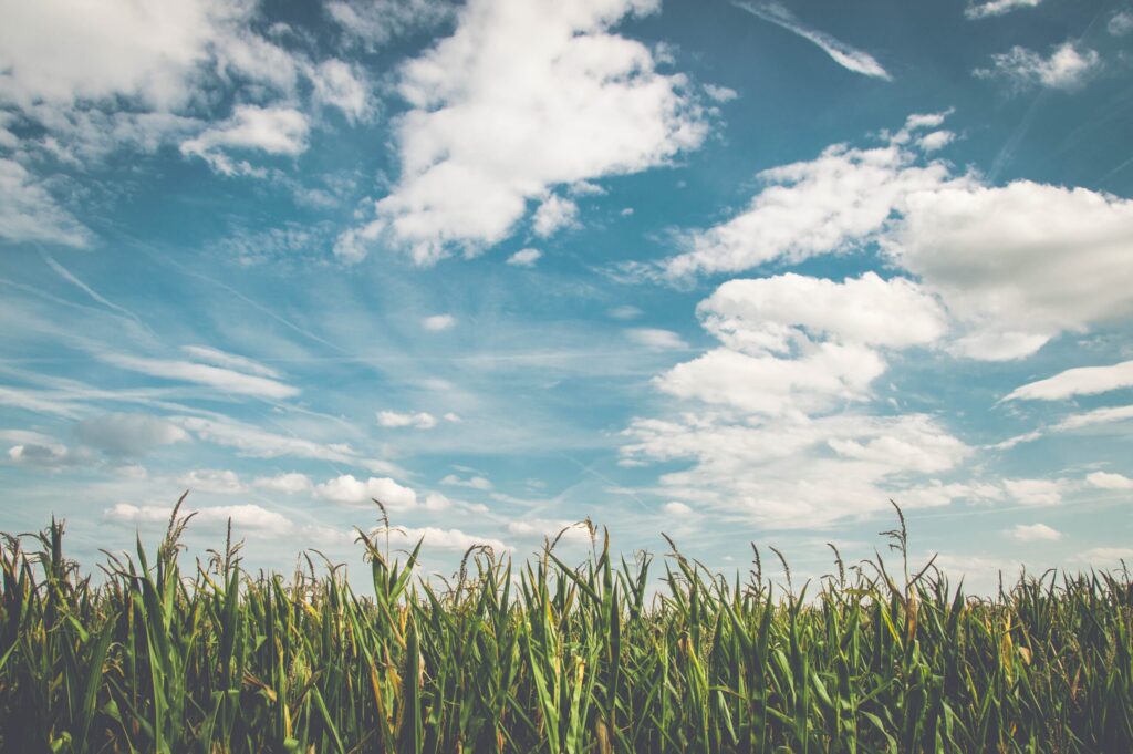 Importanza dell’eco-sostenibilità nei raffrescatori evaporativi