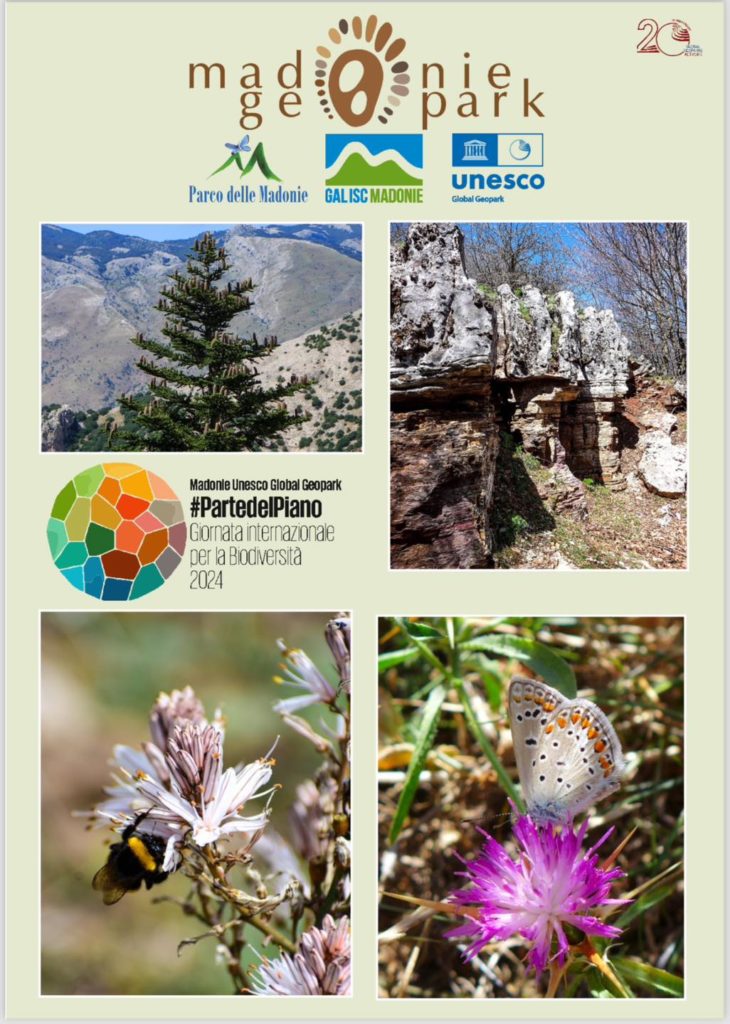 Ambiente, firmato a Palazzo d’Orléans accordo di collaborazione per la tutela della biodiversità siciliana
